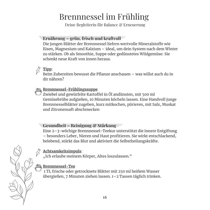 Seite über die Heilpflanze Brennnessel im Frühling mit Rezept und Tee-Anleitung, aus dem Buch Jahreszeitliche Selbstfürsorge
